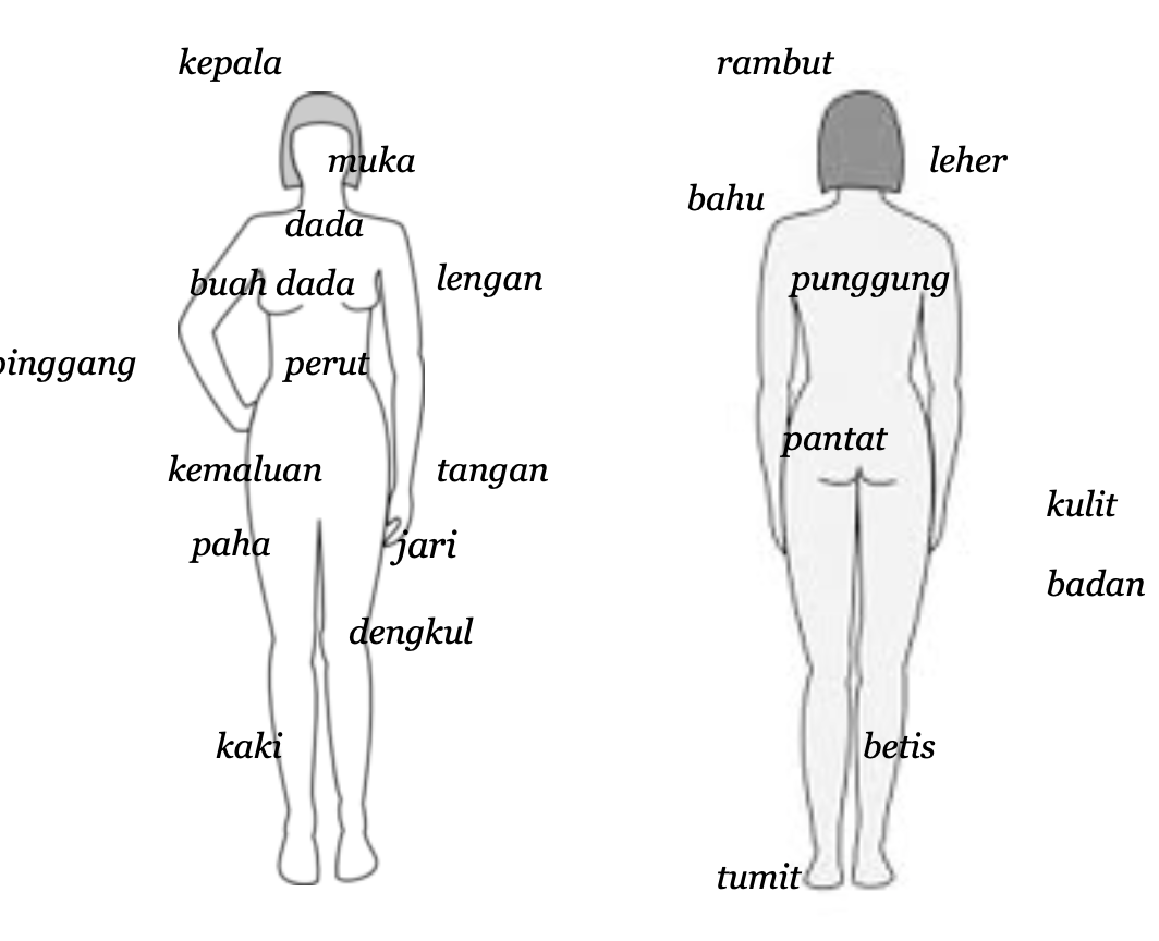 Body Parts and Appearance | Bahasakita.com